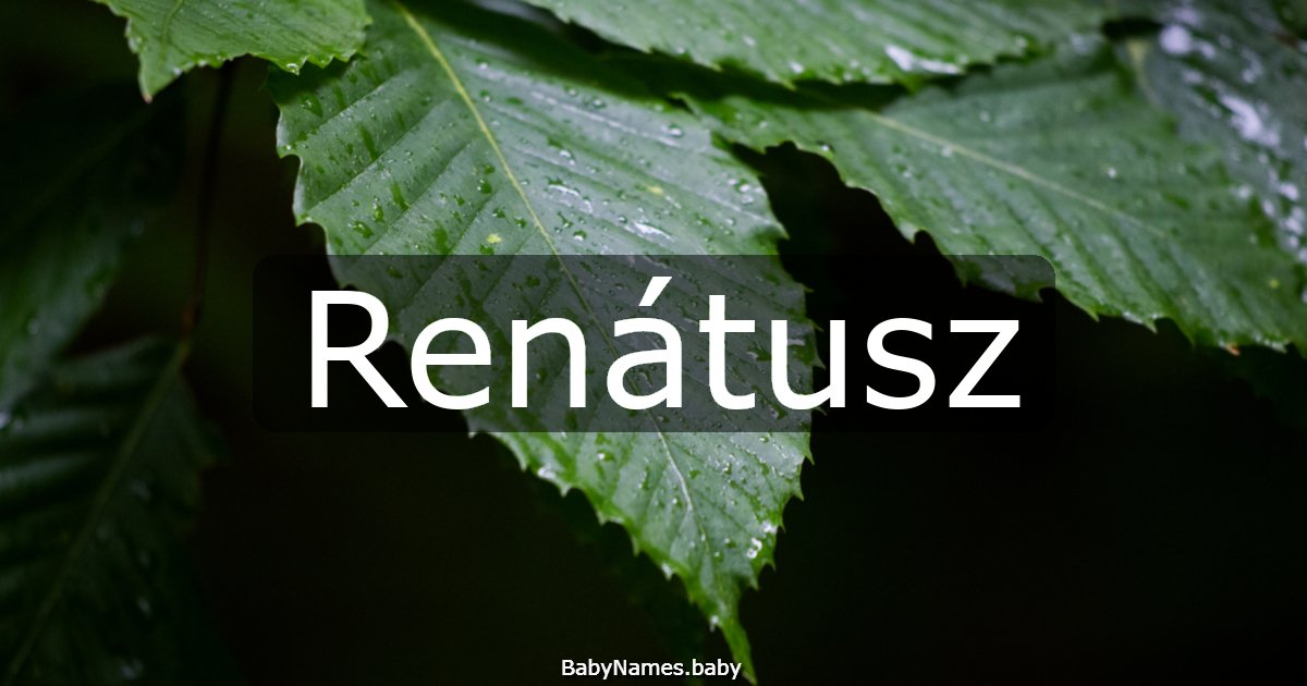 Renátusz