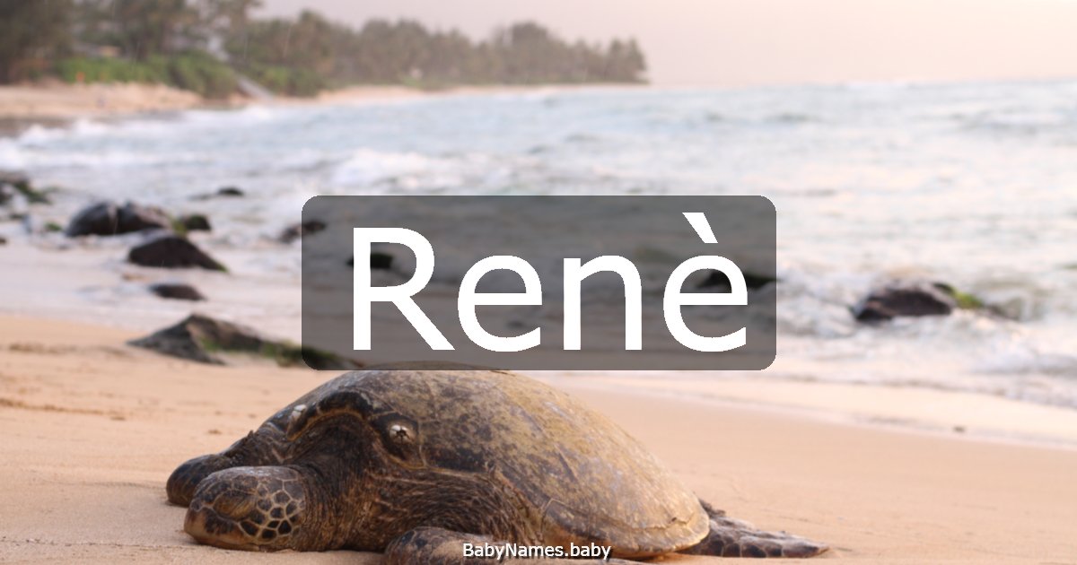 Renè