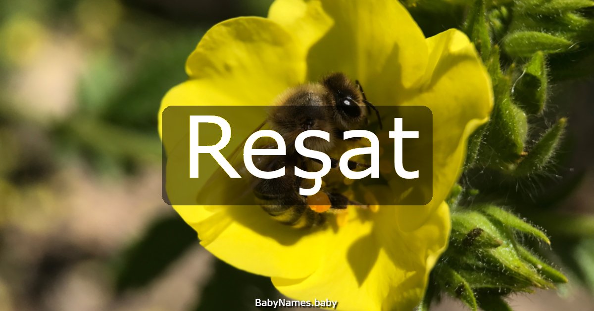 Reşat