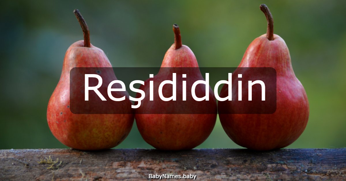 Reşididdin