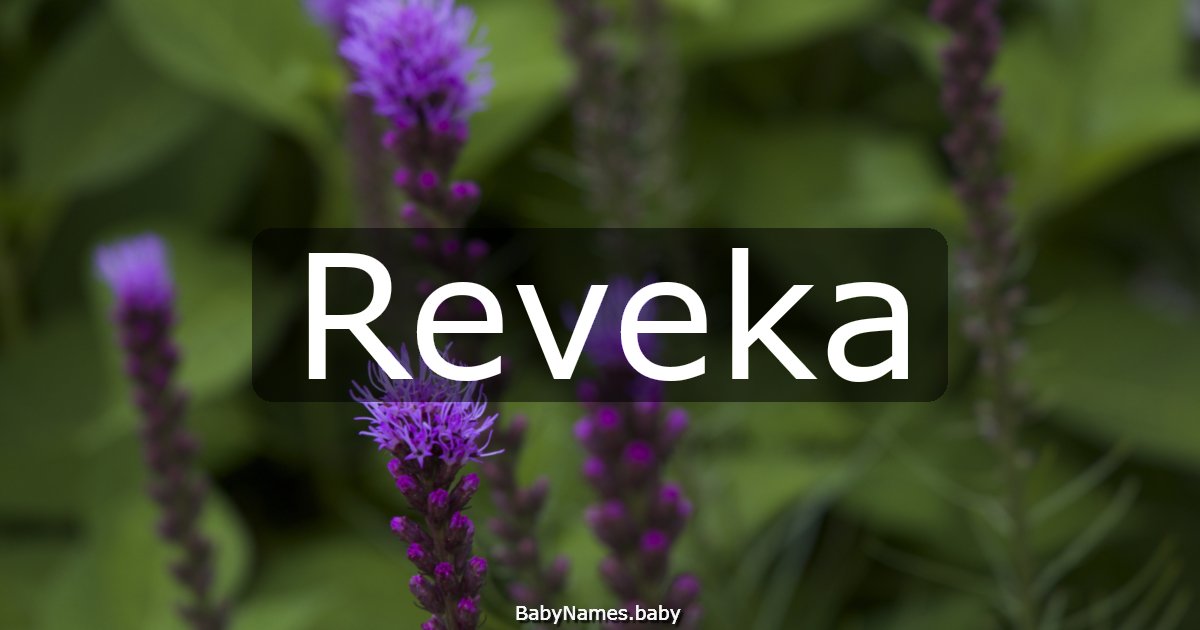 Reveka