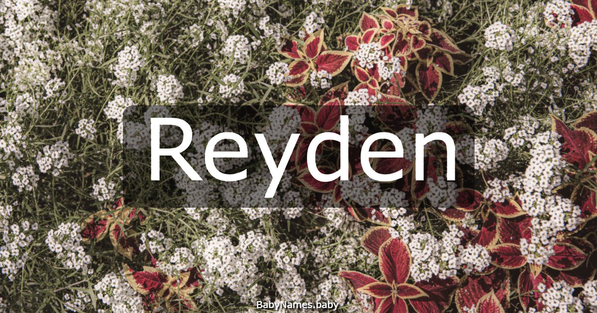 Reyden