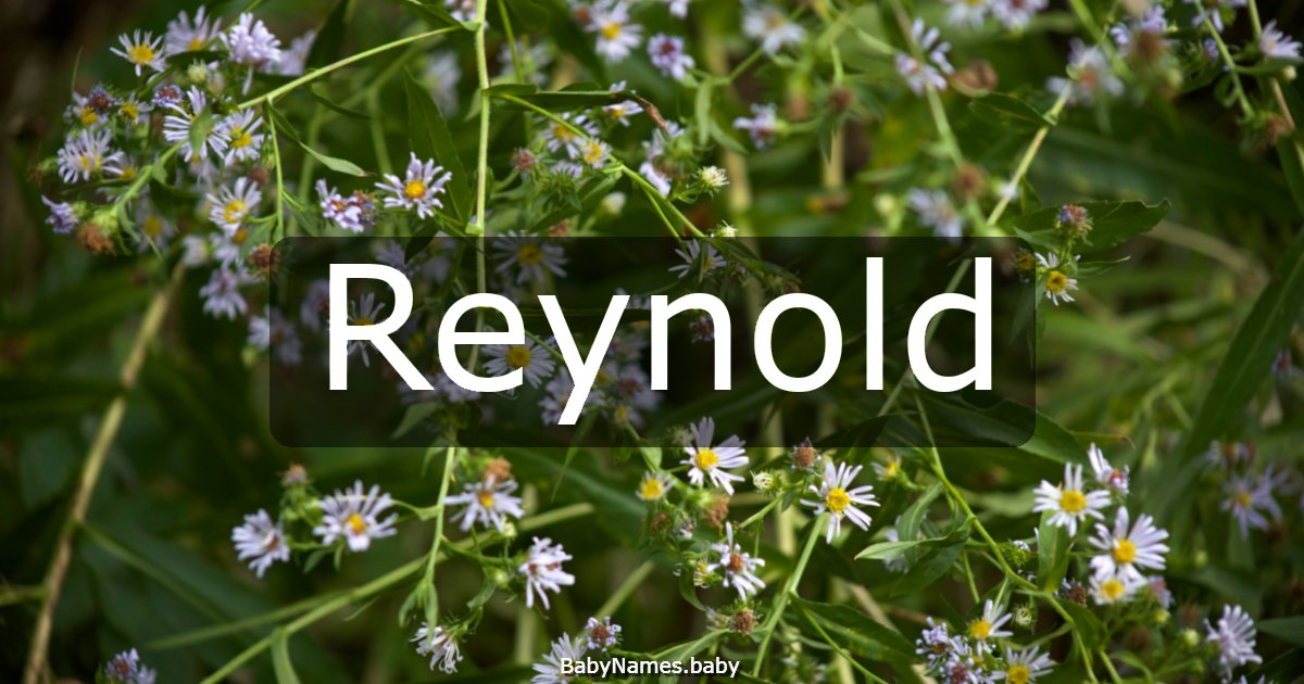 Reynold