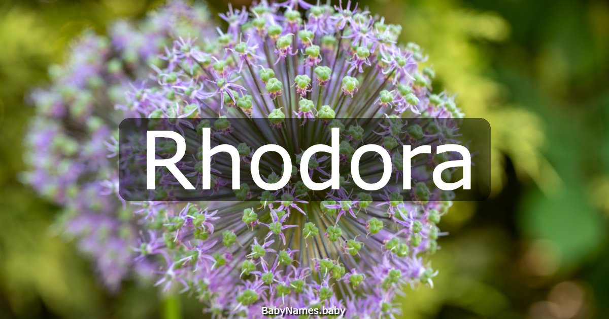 Rhodora