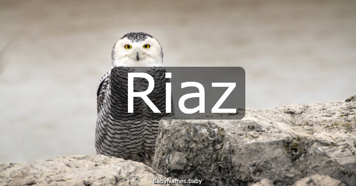 Riaz