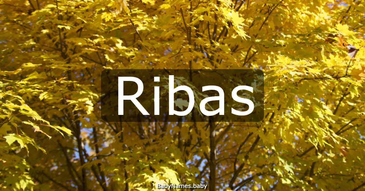 Ribas