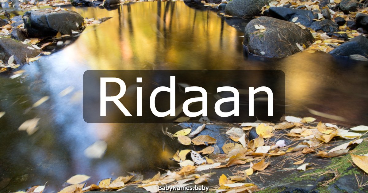 Ridaan