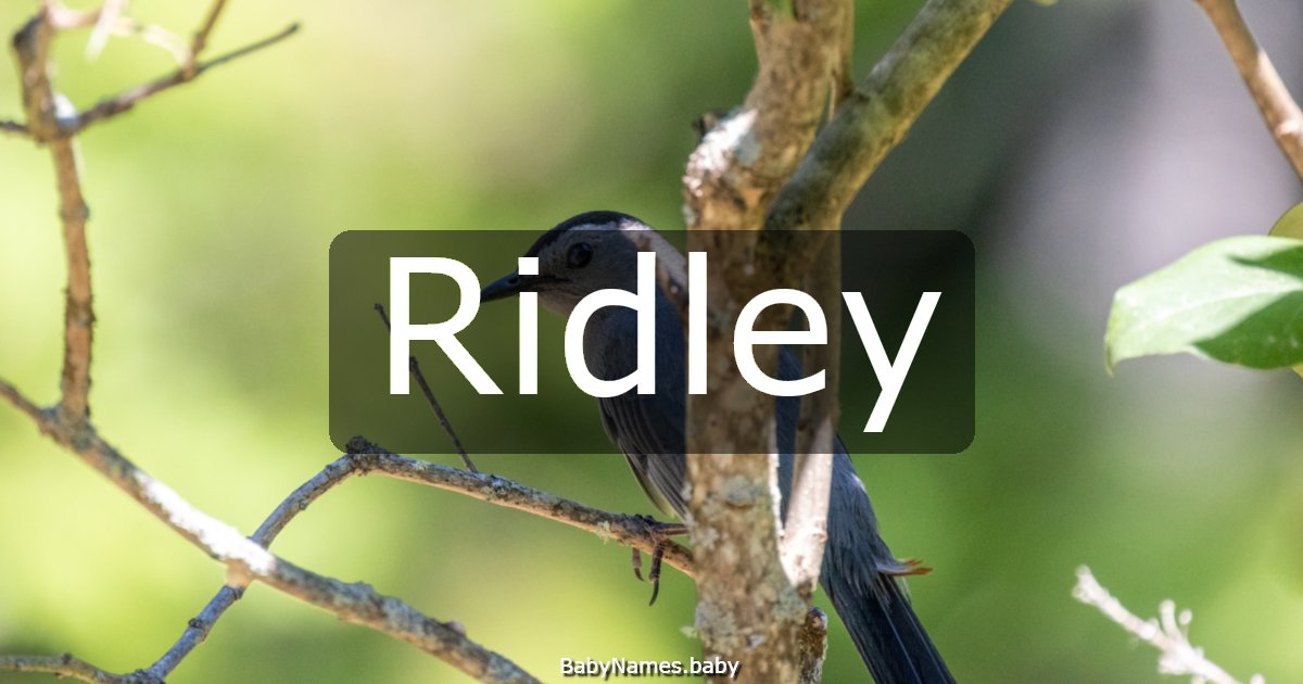 Ridley
