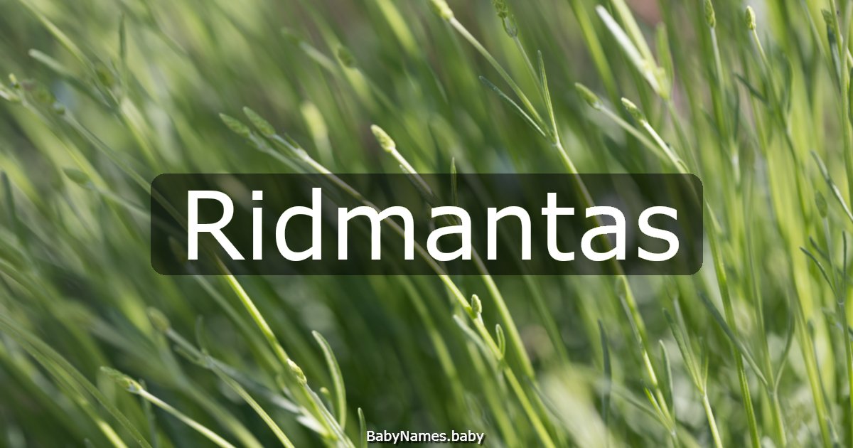 Ridmantas