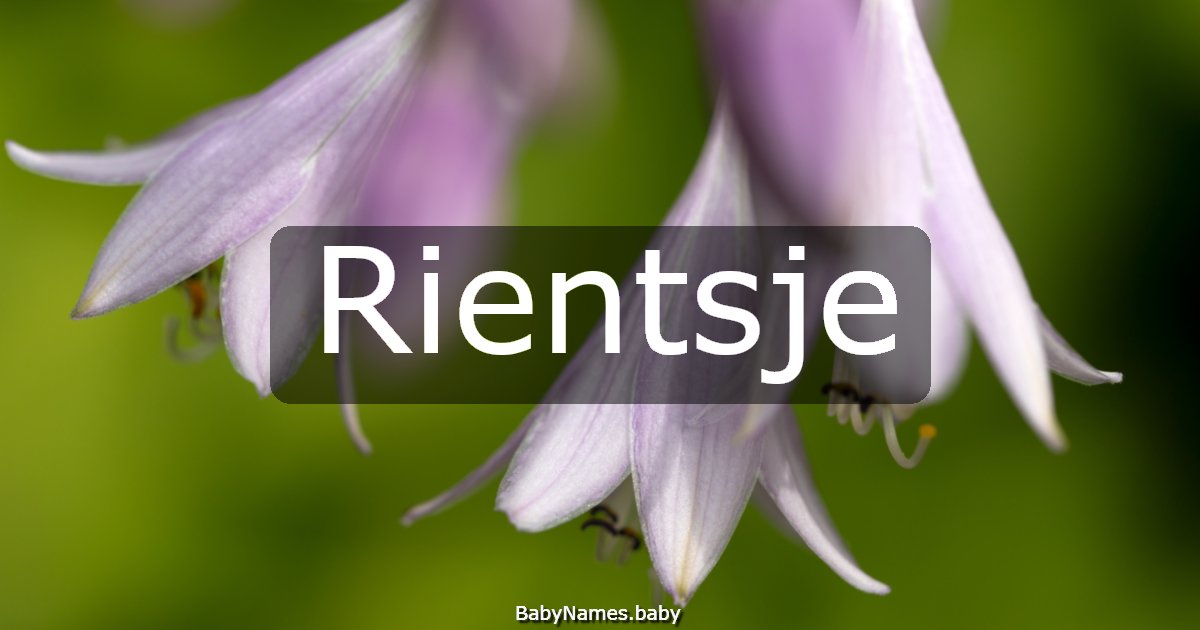 Rientsje