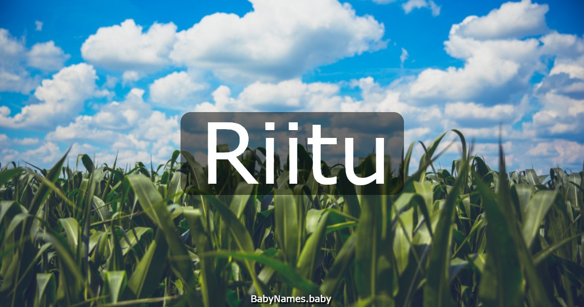 Riitu