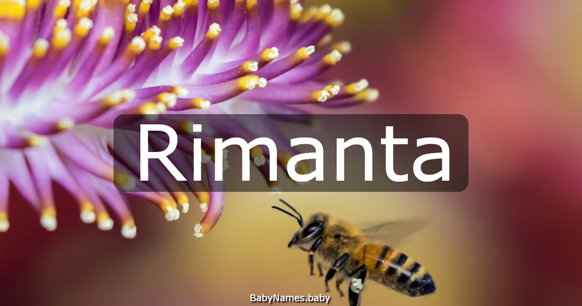 Rimanta