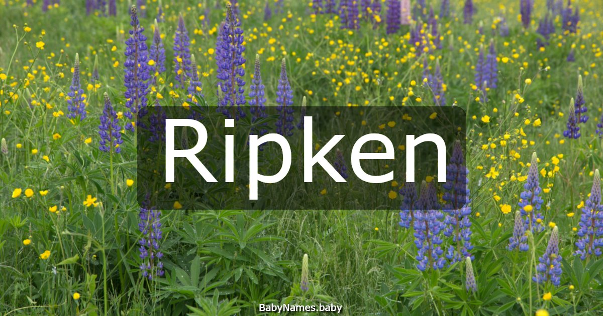 Ripken