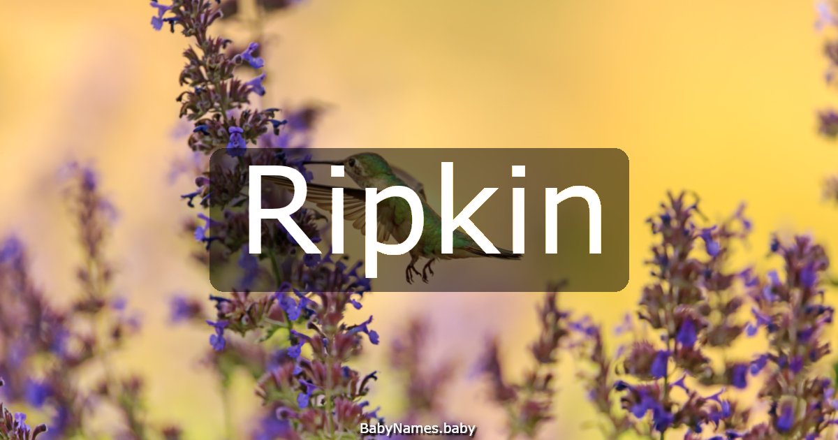 Ripkin