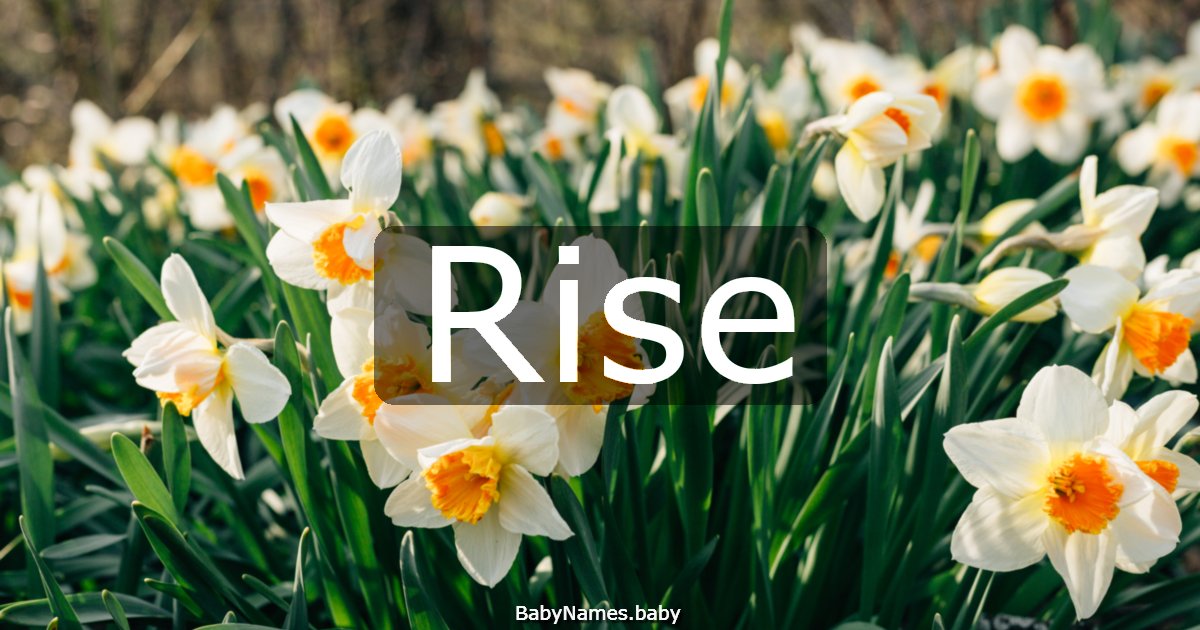 Rise