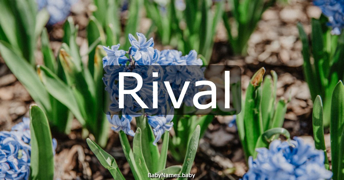 Rival