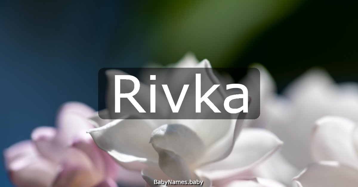 Rivka