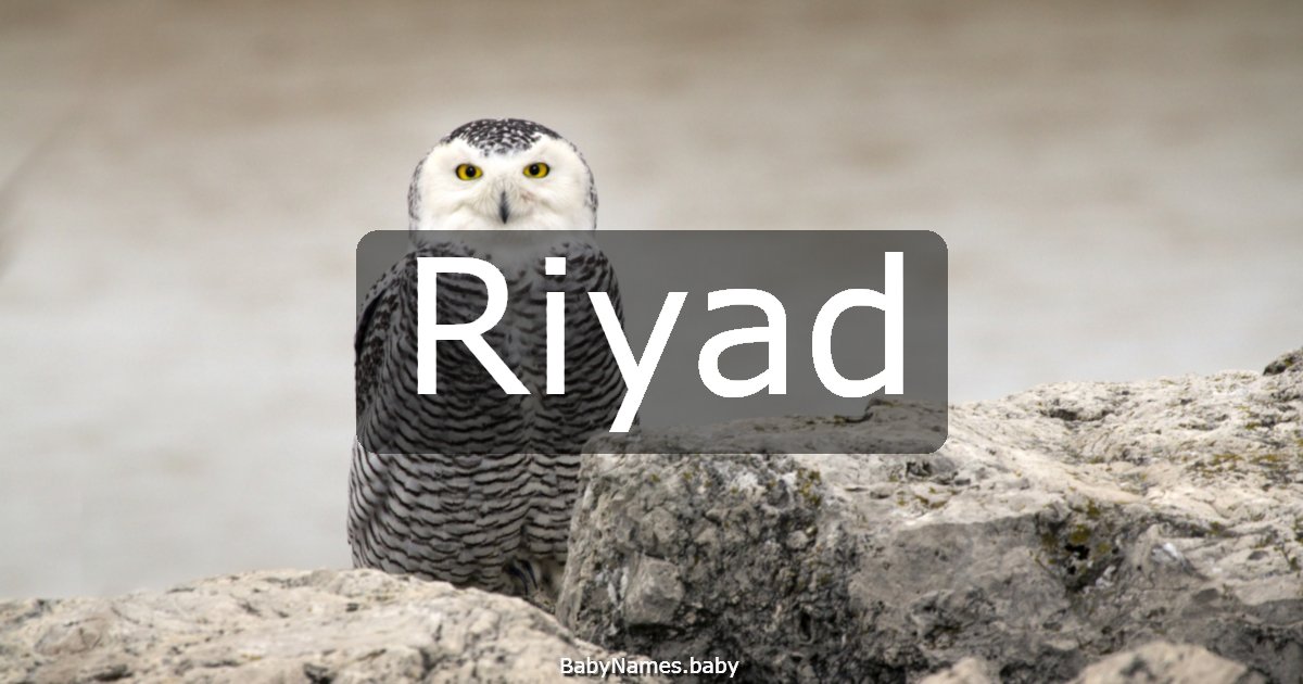 Riyad