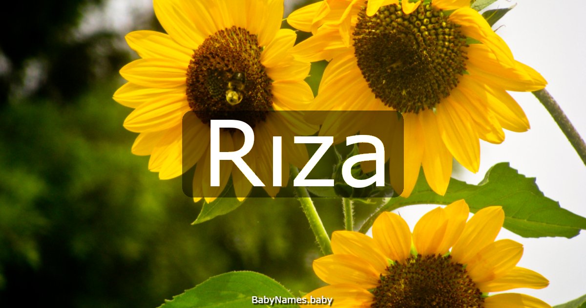 Rıza