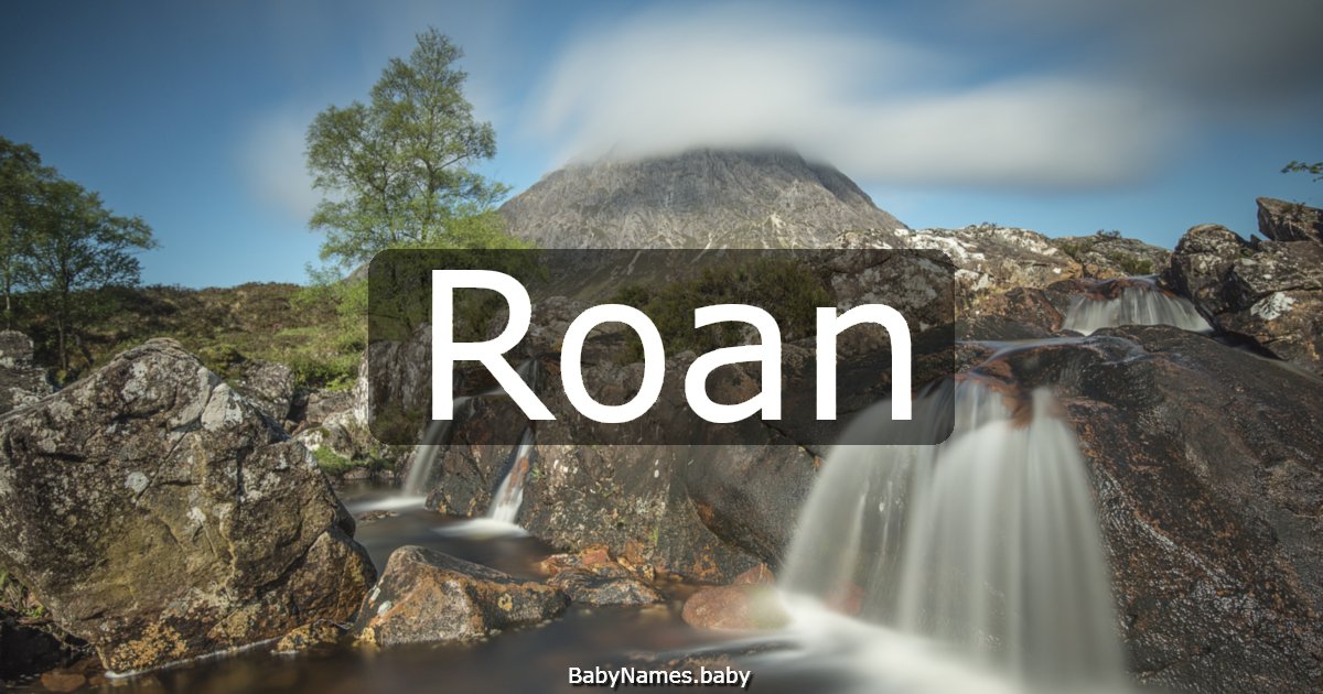 Roan
