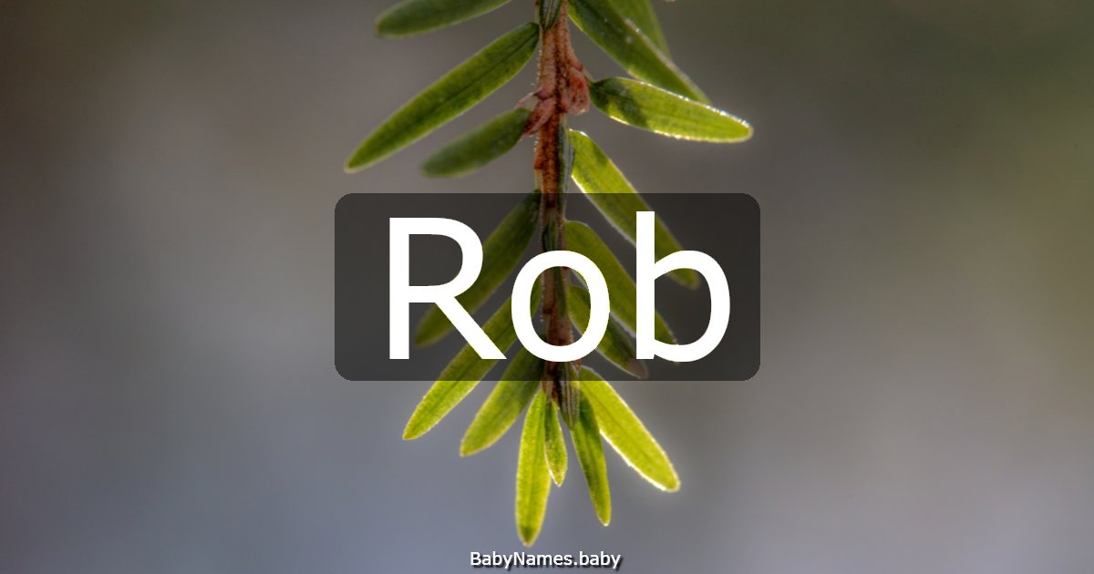 Rob