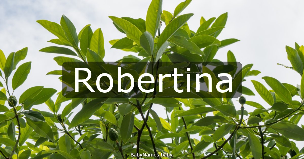 Robertina
