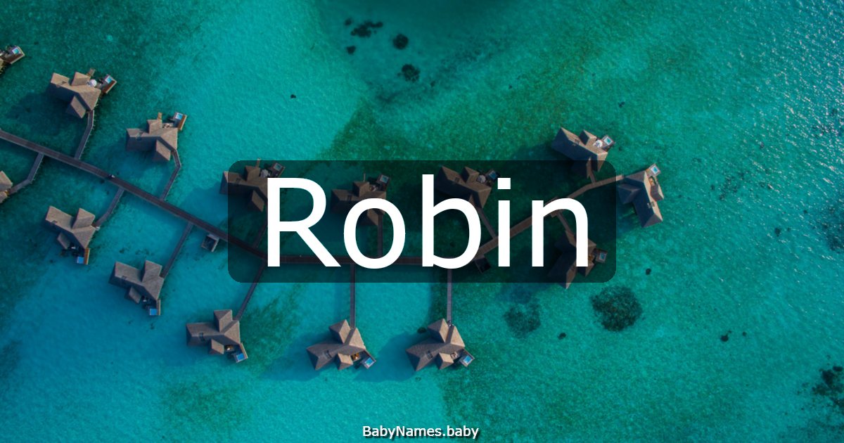 Robin