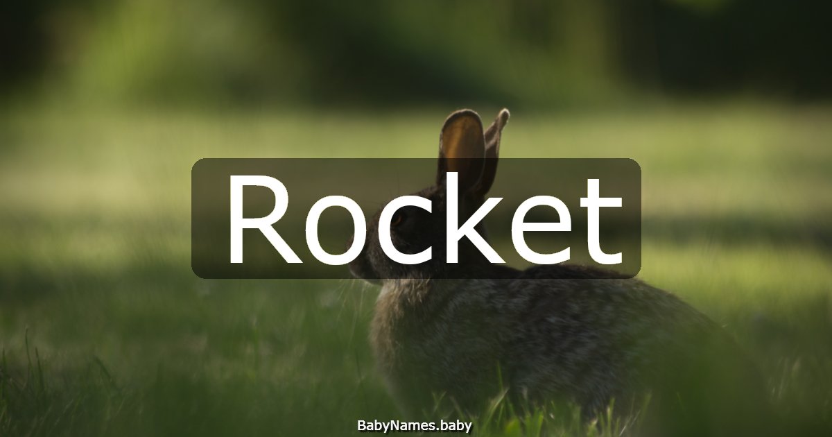 Rocket