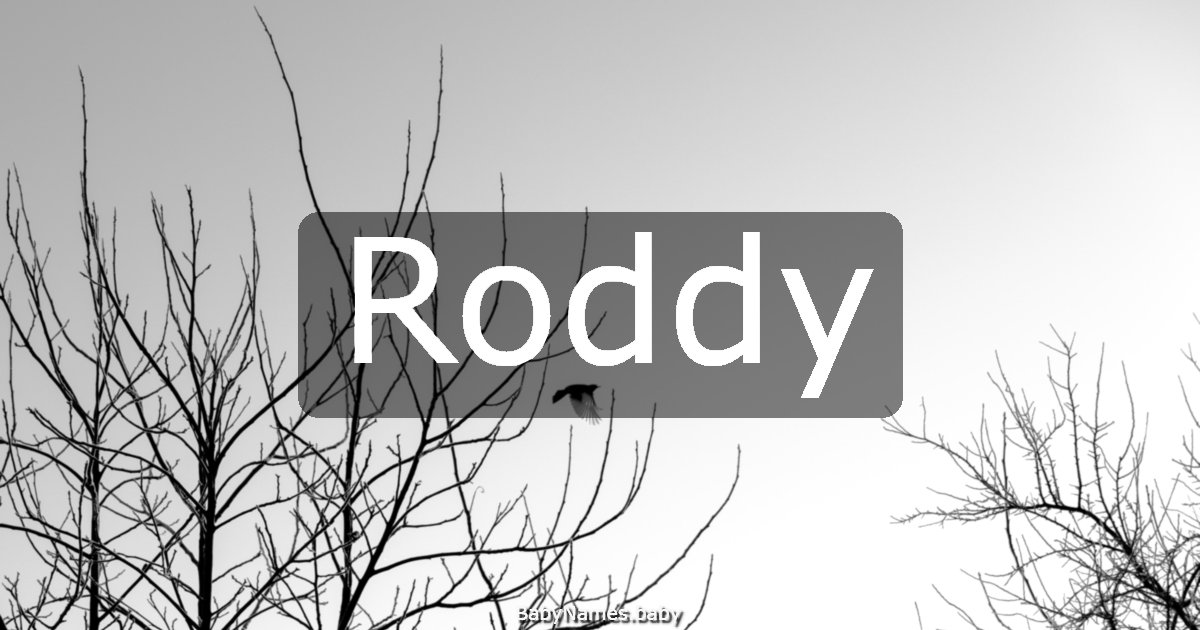 Roddy
