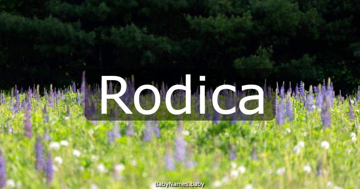 Rodica