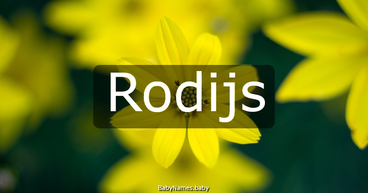 Rodijs