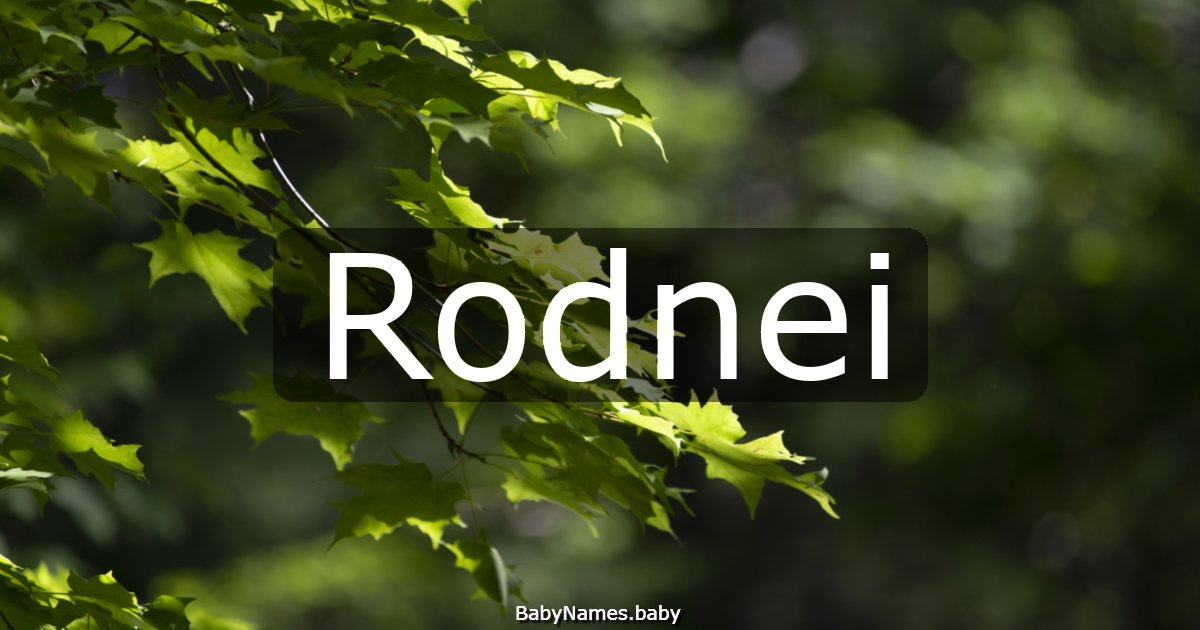 Rodnei