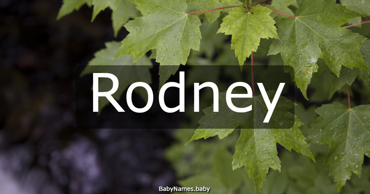 Rodney