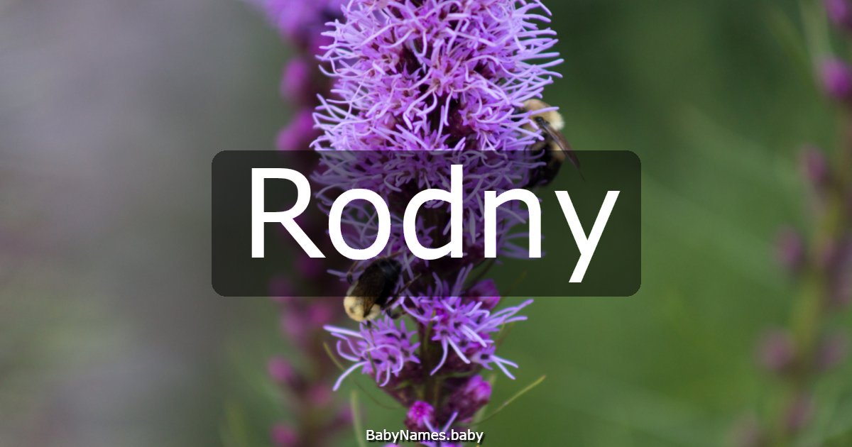 Rodny