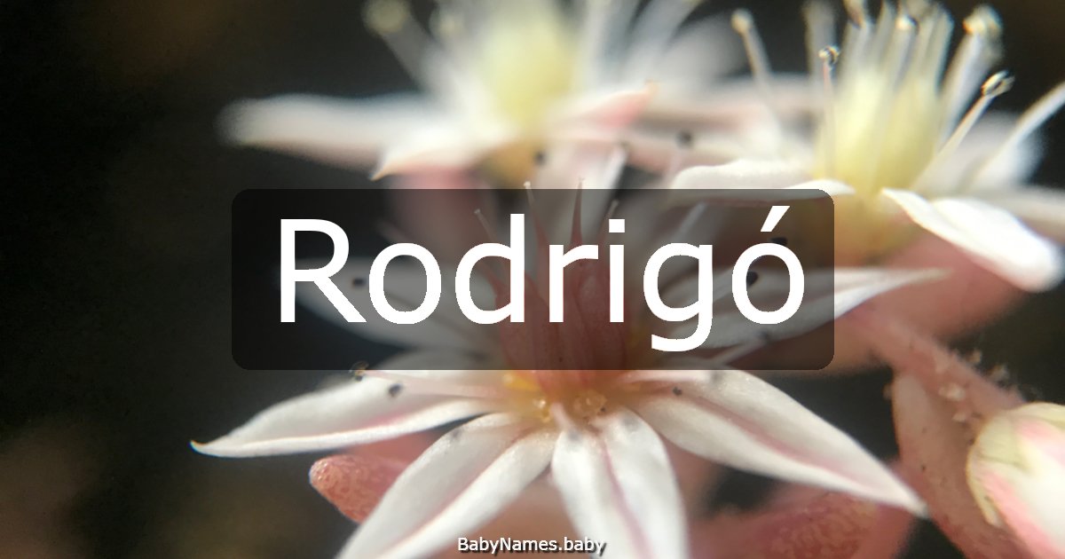 Rodrigó