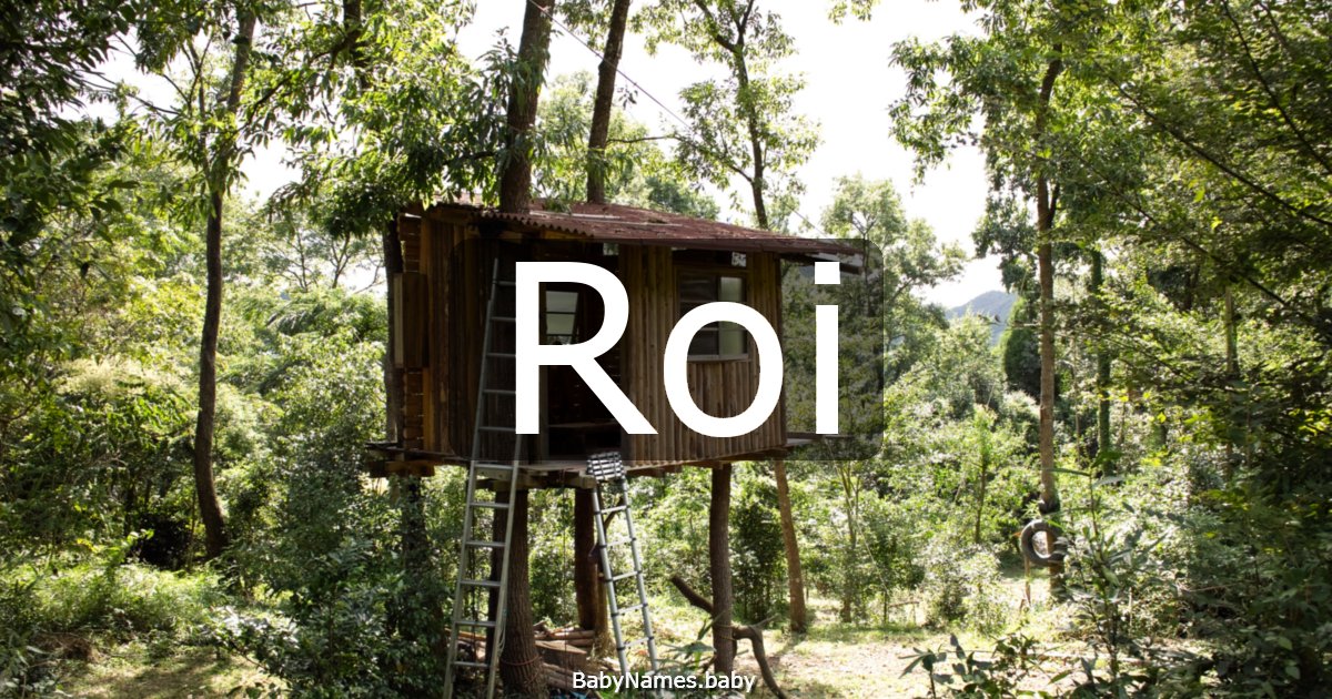 Roi
