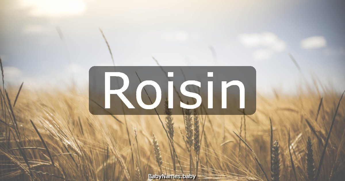 Roisin