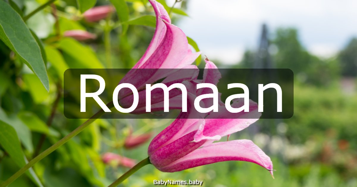 Romaan