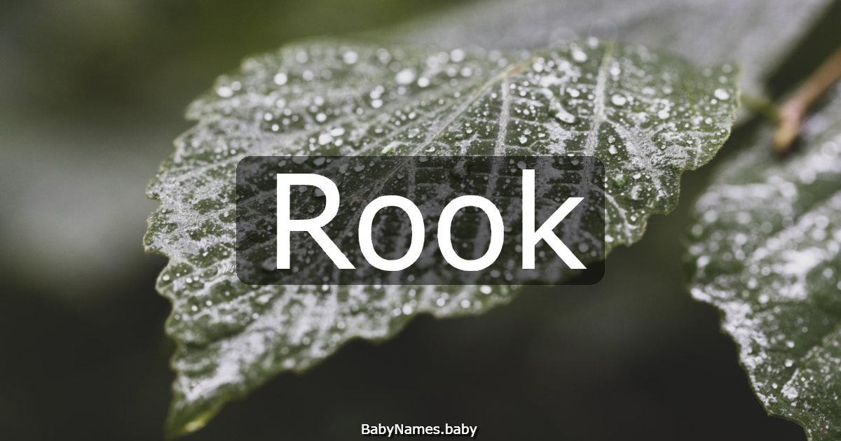 Rook