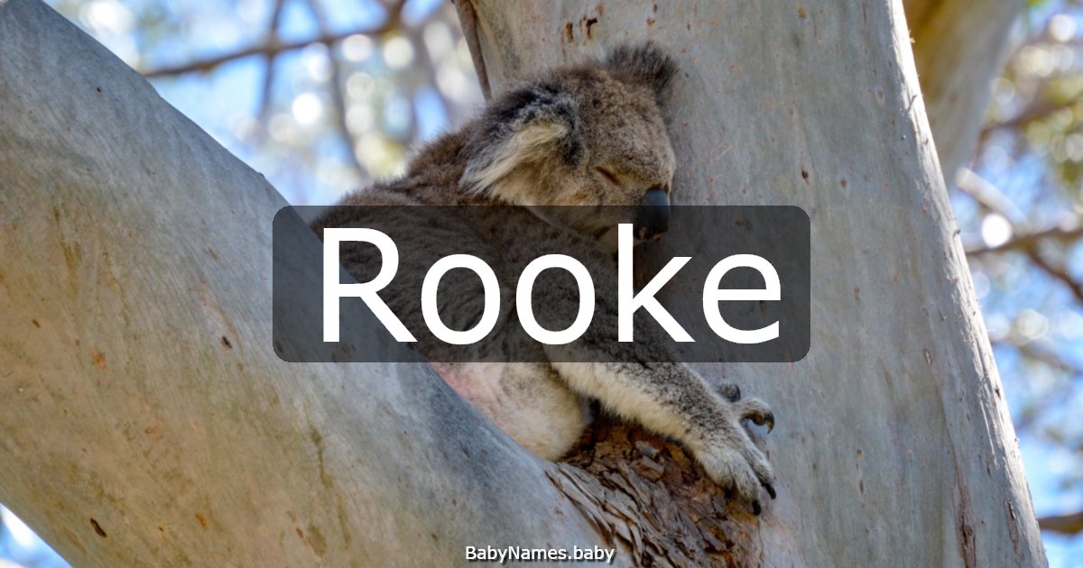 Rooke