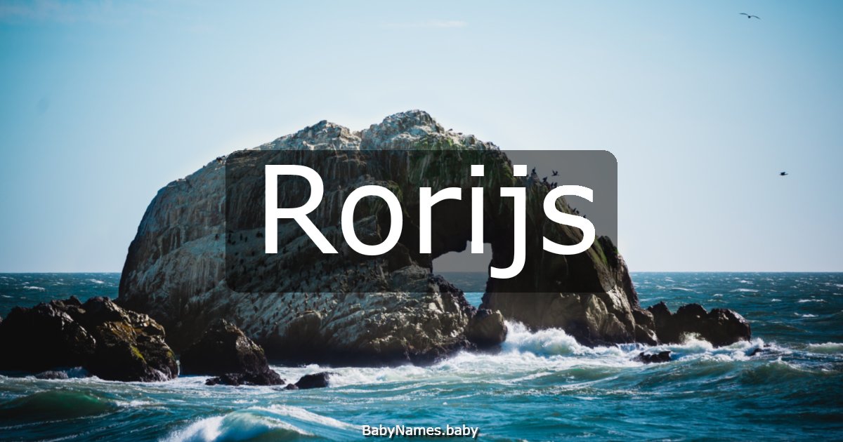Rorijs