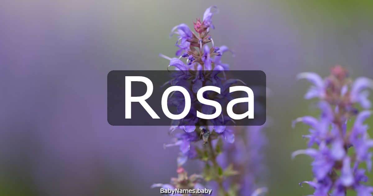 Rosa