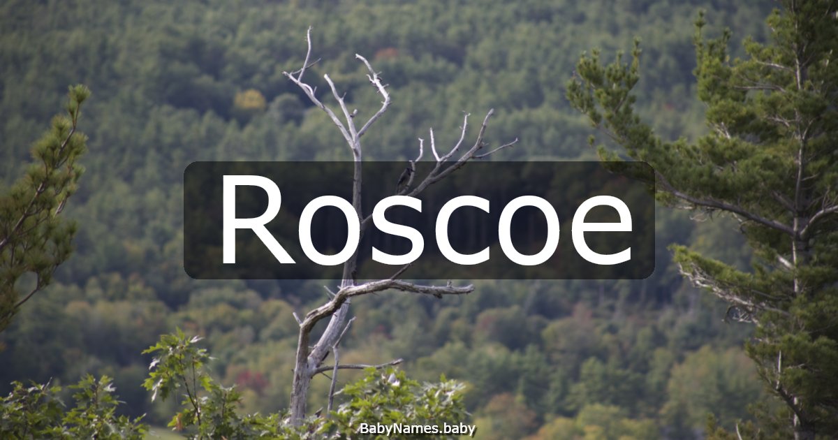 Roscoe
