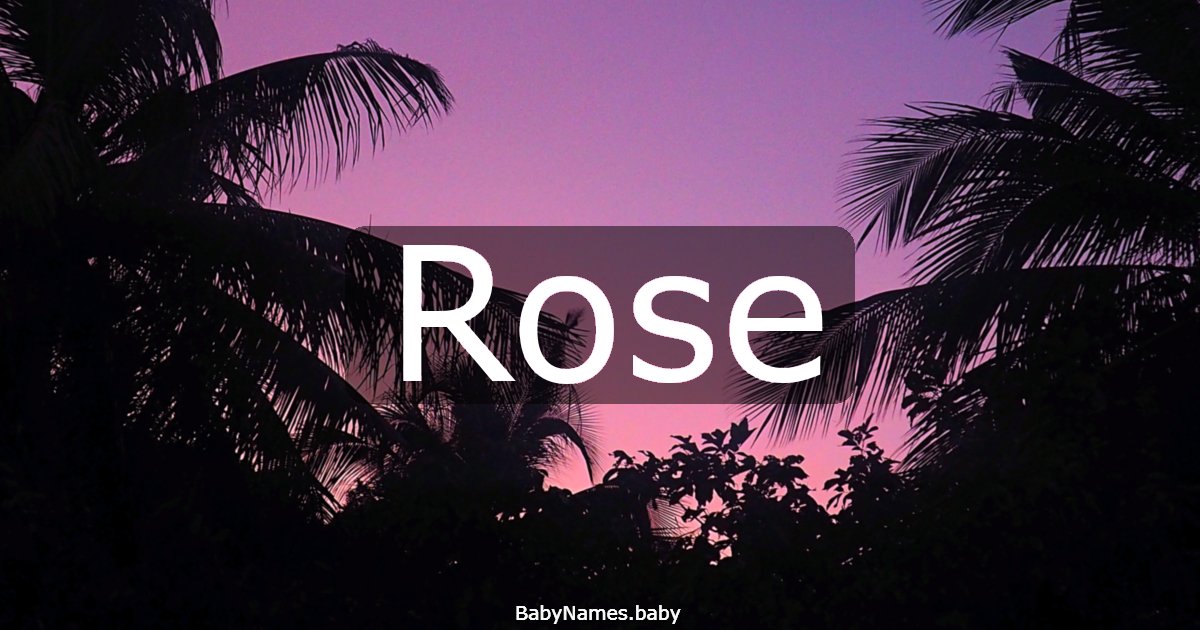 Rose