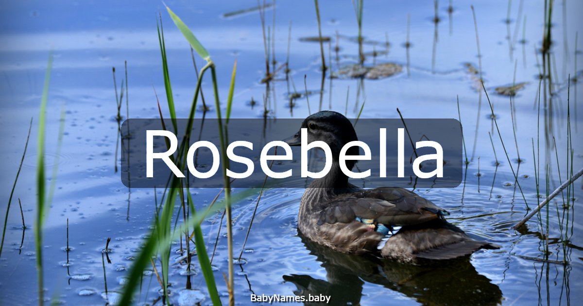 Rosebella