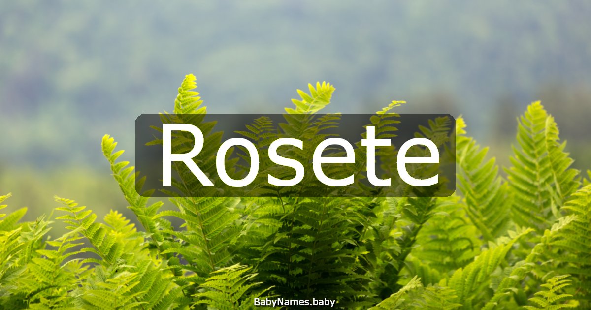 Rosete