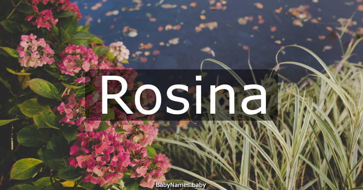 Rosina