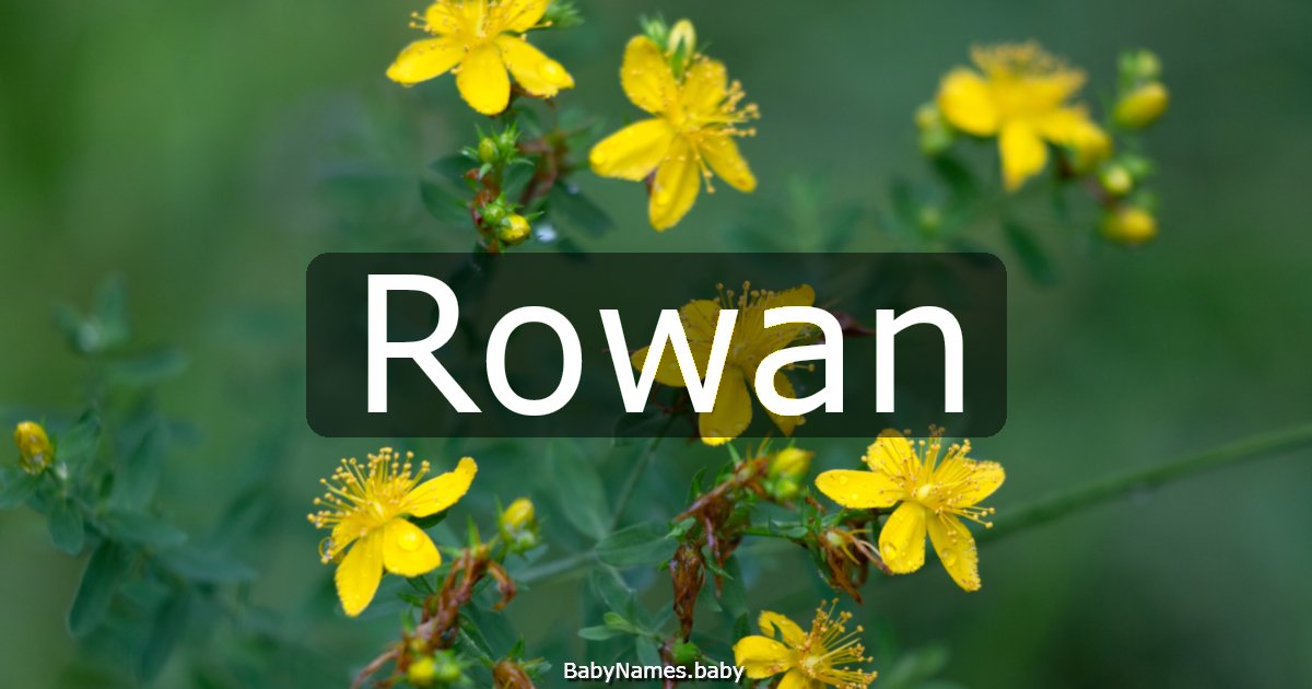 Rowan