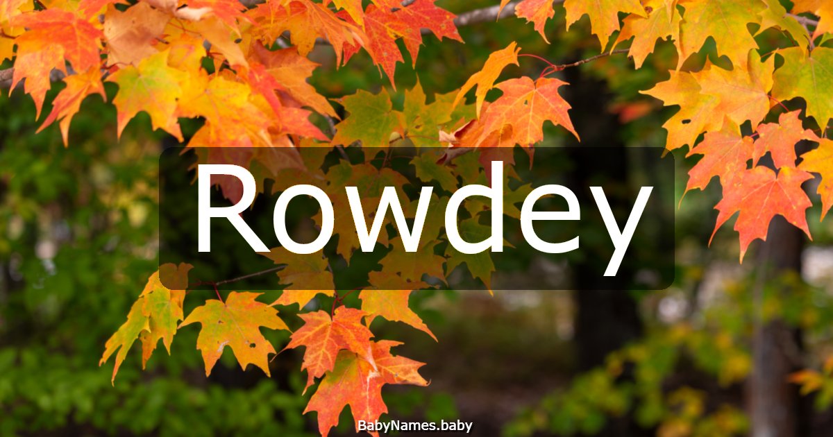 Rowdey