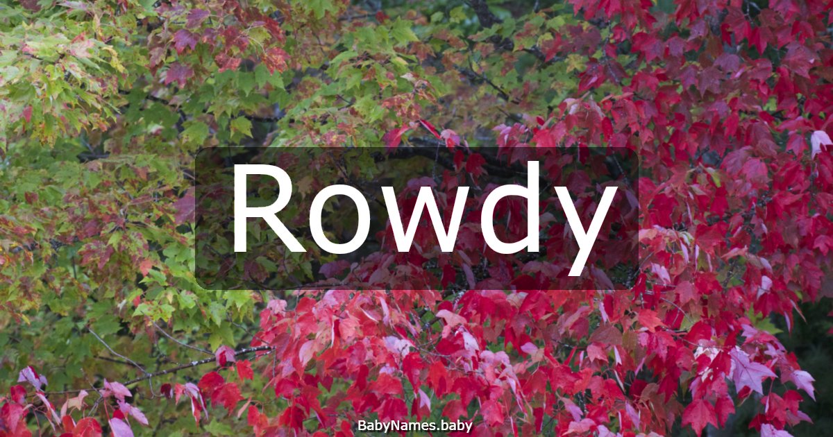 Rowdy